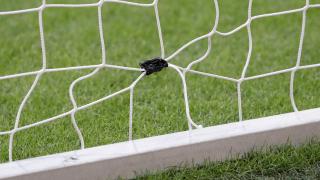 Richtlijn wijziging zeggenschap